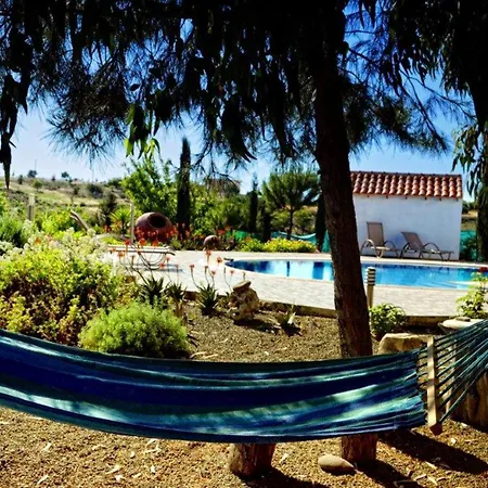 Charming House With Private Pool In Paphos Σπίτι διακοπών Milia
